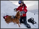 Wilderness - Avalanche Safety and Rescue